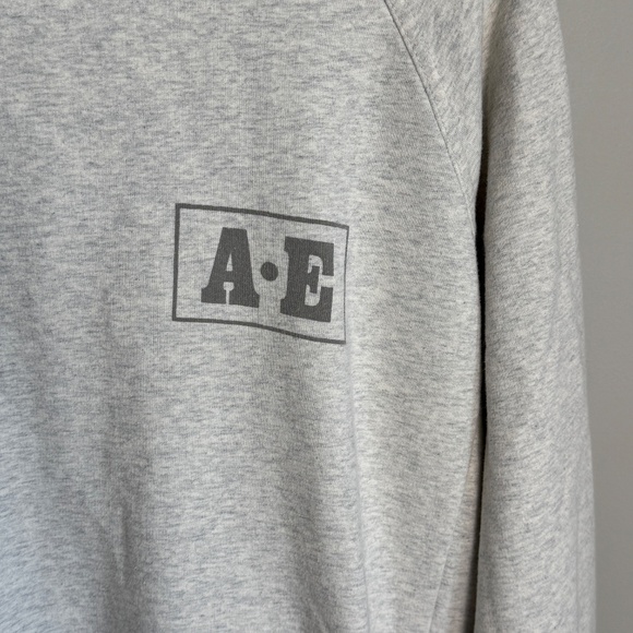 American Eagle AE Men's Long Sleeve Pullover Hoodie Cream Medium Spell-Out Arm - Picture 3 of 15